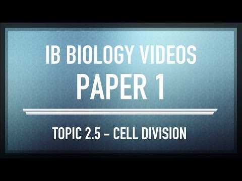 how to pass ib physics sl exam