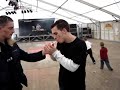 cavalcade
