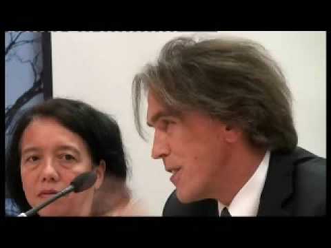 Ambassador Dr. Emil Brix - 