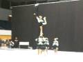 videos de Junior Swanies