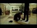 Telenor Mobil Commercial