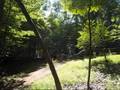 Pinoy MTB--Maryland Chapter in Avalon-Patapsco Park