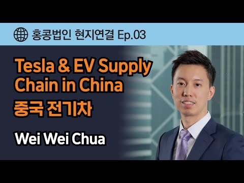 홍콩 현지연결 Ep.03 - Tesla & EV Supply Chain in China_중국 전기차