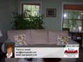 Homes for Sale Reno NV Patricia Jewett