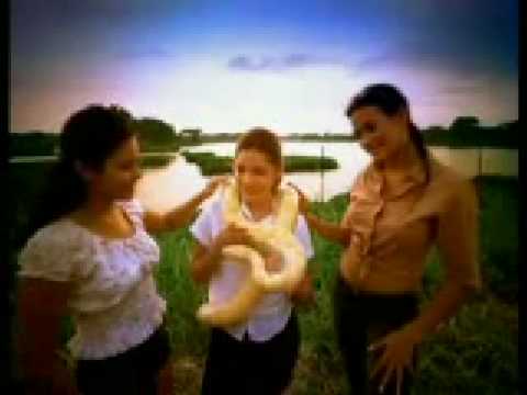 Imagen de previsualización de YouTube