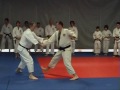 Shorinji kempo interpyreneen 2008
