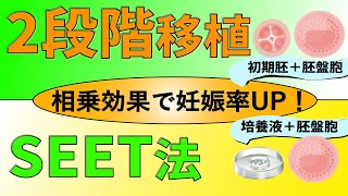 【移植4】上がれ着床率!2段階移植とSEET法・ST法について