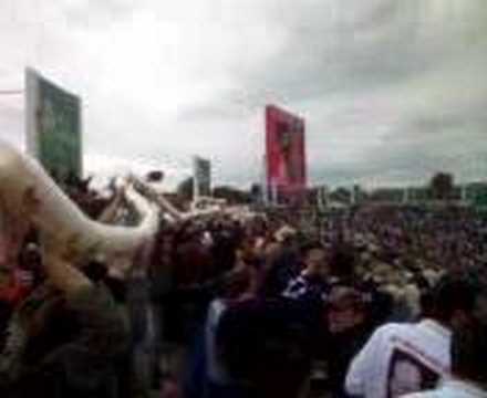 Headingley test match beer glass snake