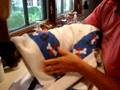 Rags, a 19-year old Ragdoll, getting a bath - Video 9