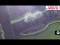 Dziki grasuj� w Zielonej G�rze