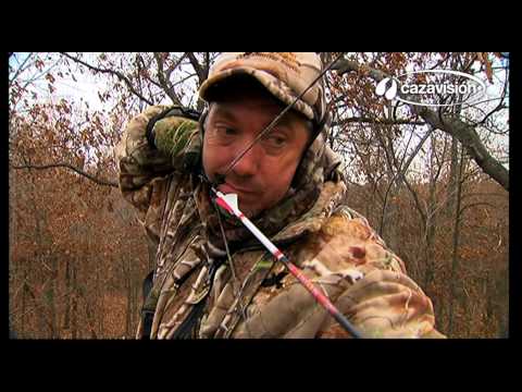 Emocionante caça ao veado com arco.