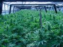 teledysk, klip, Cypress Hill,- Mary Jane