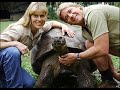 Steve Irwin Tribute Steve Irwin Tribute