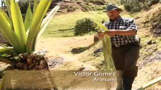 Campesinos Fabrican el Color