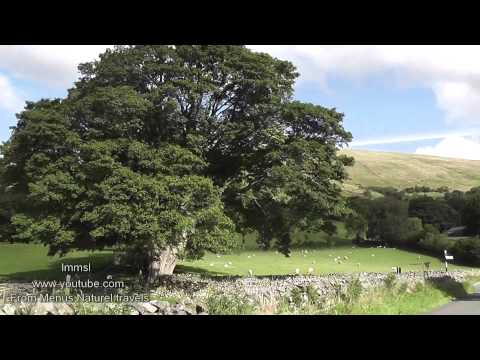 countryside - Dent the village with immense natural beauty, stunning scenary and a place to be discovered. This video shows you all about Dent Village and the spectaculer ...