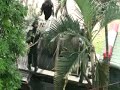 Toa kham su Hanoi 19.9 - 5 Toa kham su Hanoi 19.9 - 5