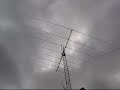 Cushcraft ASL2010 Ham Radio Log Periodic Antenna Removed From 50ft tower