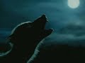 Moonlight
