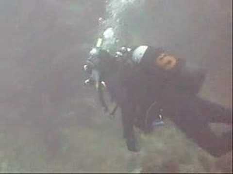 NARCOSIS TEAM II