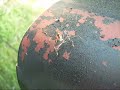 Assassin (Bug) Assassin (Bug)