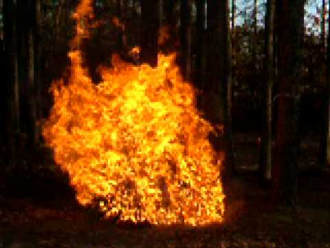 0 Christmas Tree Caught Fire on NYC Street, Set Nearby Car Ablaze