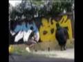 videos de daser ft. zong