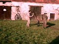 je recul pas droit
