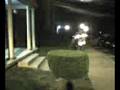front flip over bush