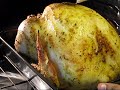 Thanksgiving Turkey 2008