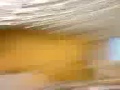 Affenschrei in der Vorlesung