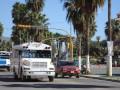 We stayed at the Solmar hotel,...