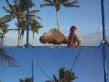 videos de Dreams Tulum Beach Trampoline