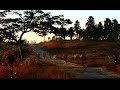 Patience Visual Concentration meditation Concentration meditation