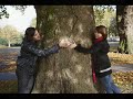 Search Video