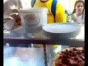 soho-pizza-tavsancal