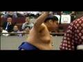 大相撲横浜場所⑤(普天王取組編)