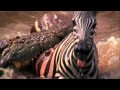 Deadly Instinct: Crocodiles