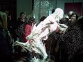 bodies the exhibition