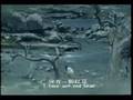 一颗红豆(主题曲〕