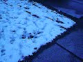 Picture or Video 052.MOV