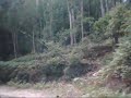 descenso-portecelo-terroso.html