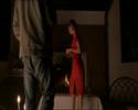 Nora Zehetner in Brick