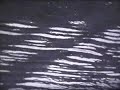 Haarlem River (Asa Mader)