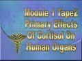 Cortisol, the Fight-Flight Hormone, Devastates Your Organs