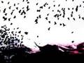 CD Birds: Hossein Alizadeh, Homa Niknam, Madjid Khaladj