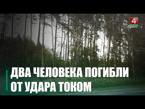 Трагедия в Речицком районе: два человека погибли от удара током видео