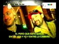 ZAPPING - Accidentes de famosas 31-01-08 - Thumb #3