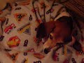 Sleepy Boy