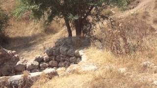 بئر تل الصافي