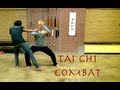 Top 10 tai chi combat fighting moves tai ji quan.. Video